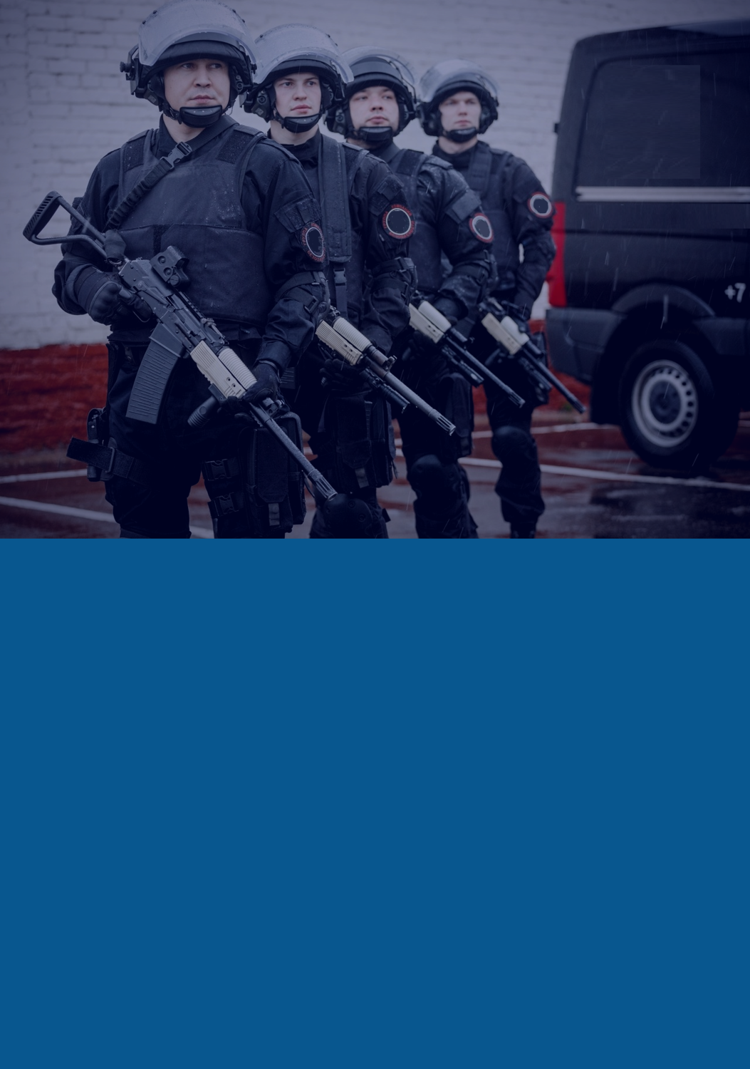 Вооруженная охрана